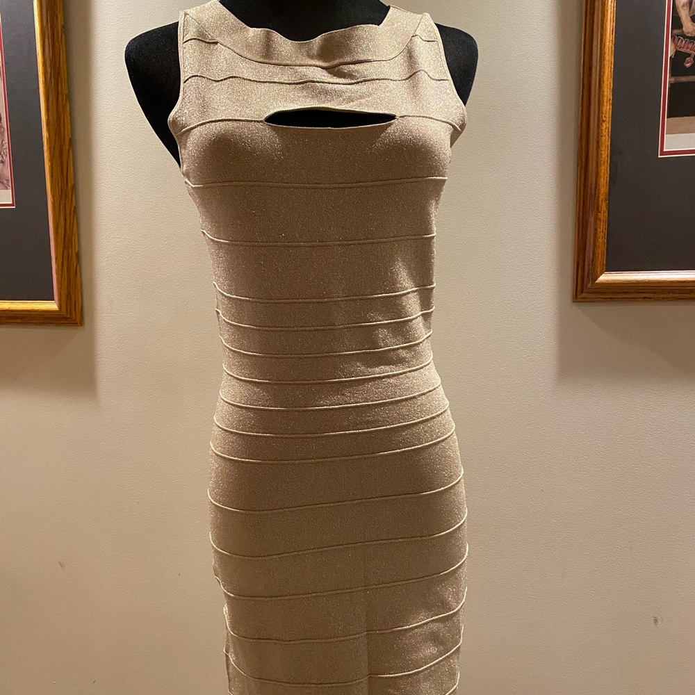 Express SZ M Gold bodycon dress